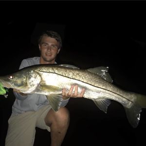 Meet your Posher, Jackson